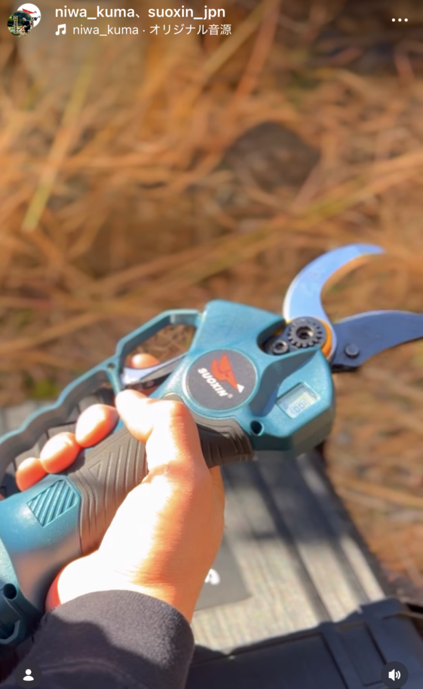 ソーシン840　レビュー　大阪府　庭のクマさん②のサムネイル