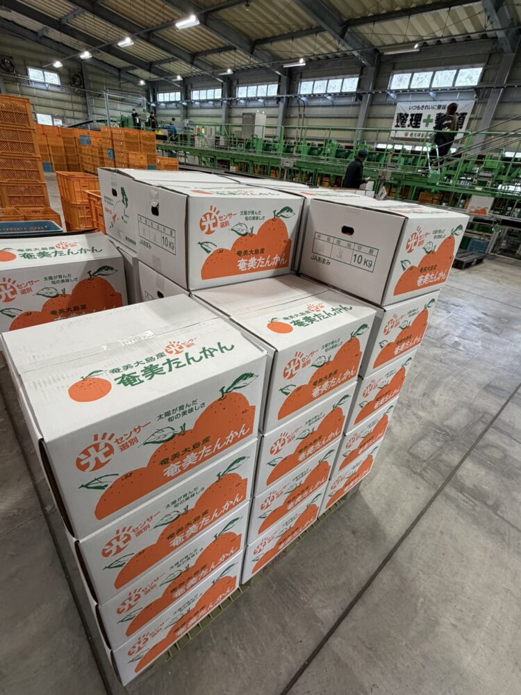 JAあまみ（奄美大島）訪問　のサムネイル