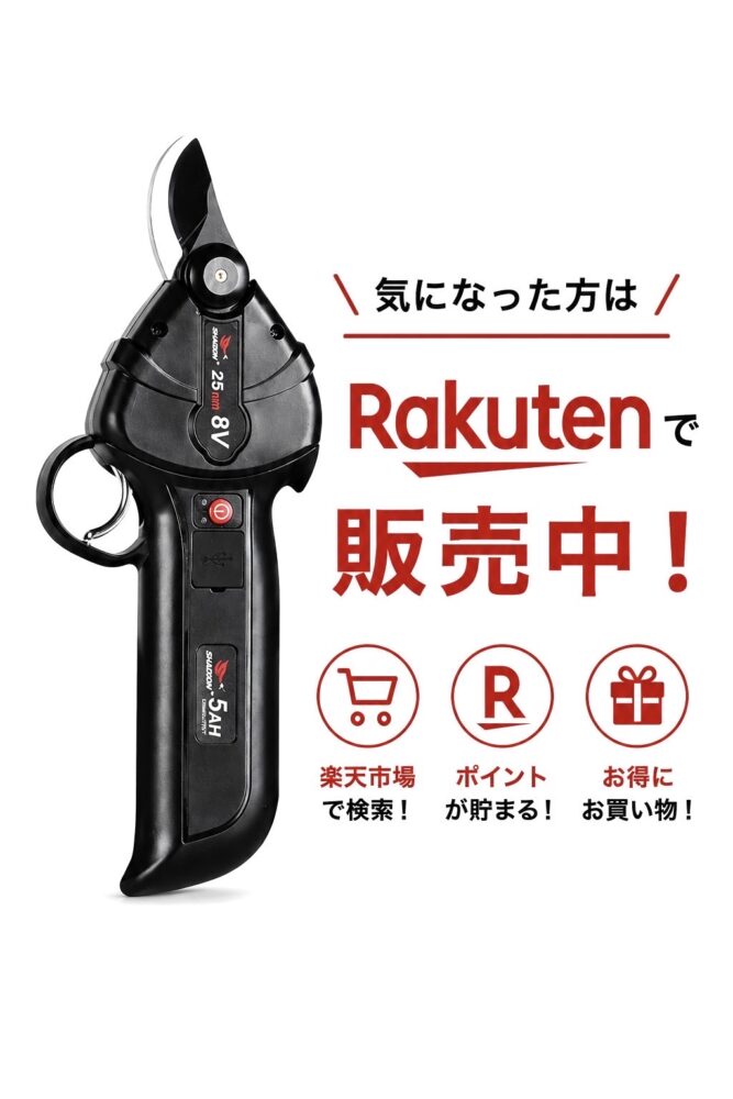 ソーシン　楽天でも販売スタートのサムネイル