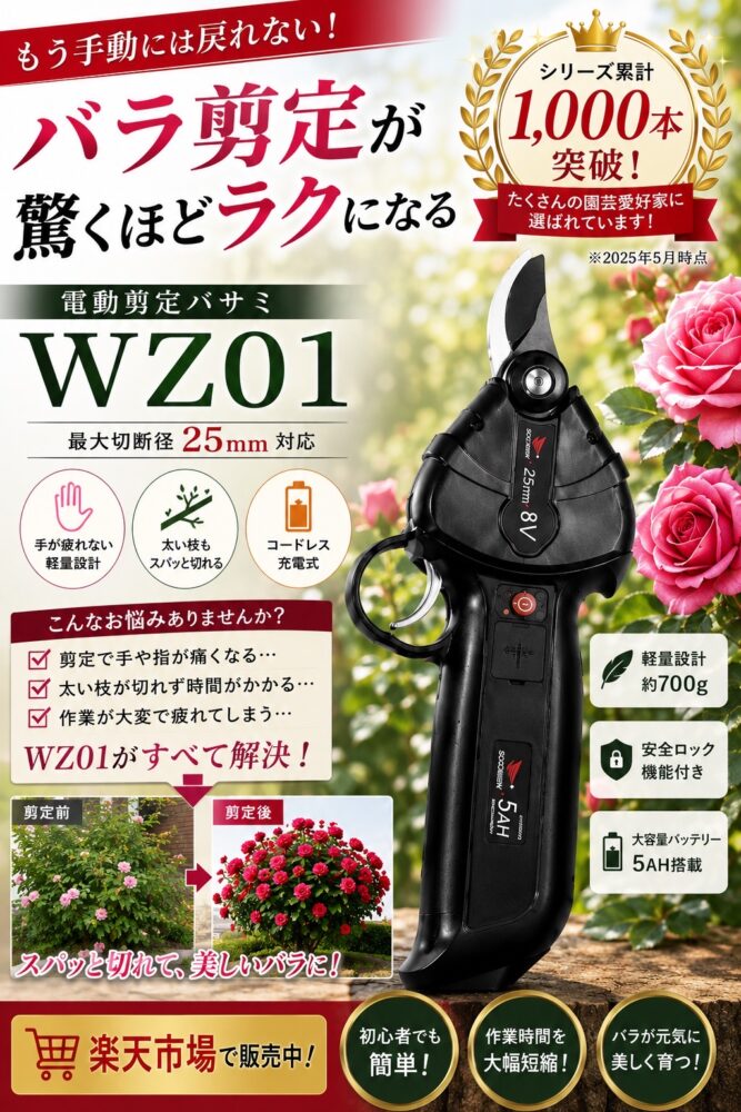ソーシンWZ01　1000本　突破のサムネイル