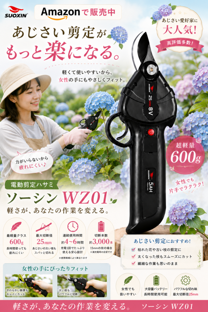ソーシン　楽天市場でも販売中！のサムネイル